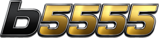 vnb5555.com Logo